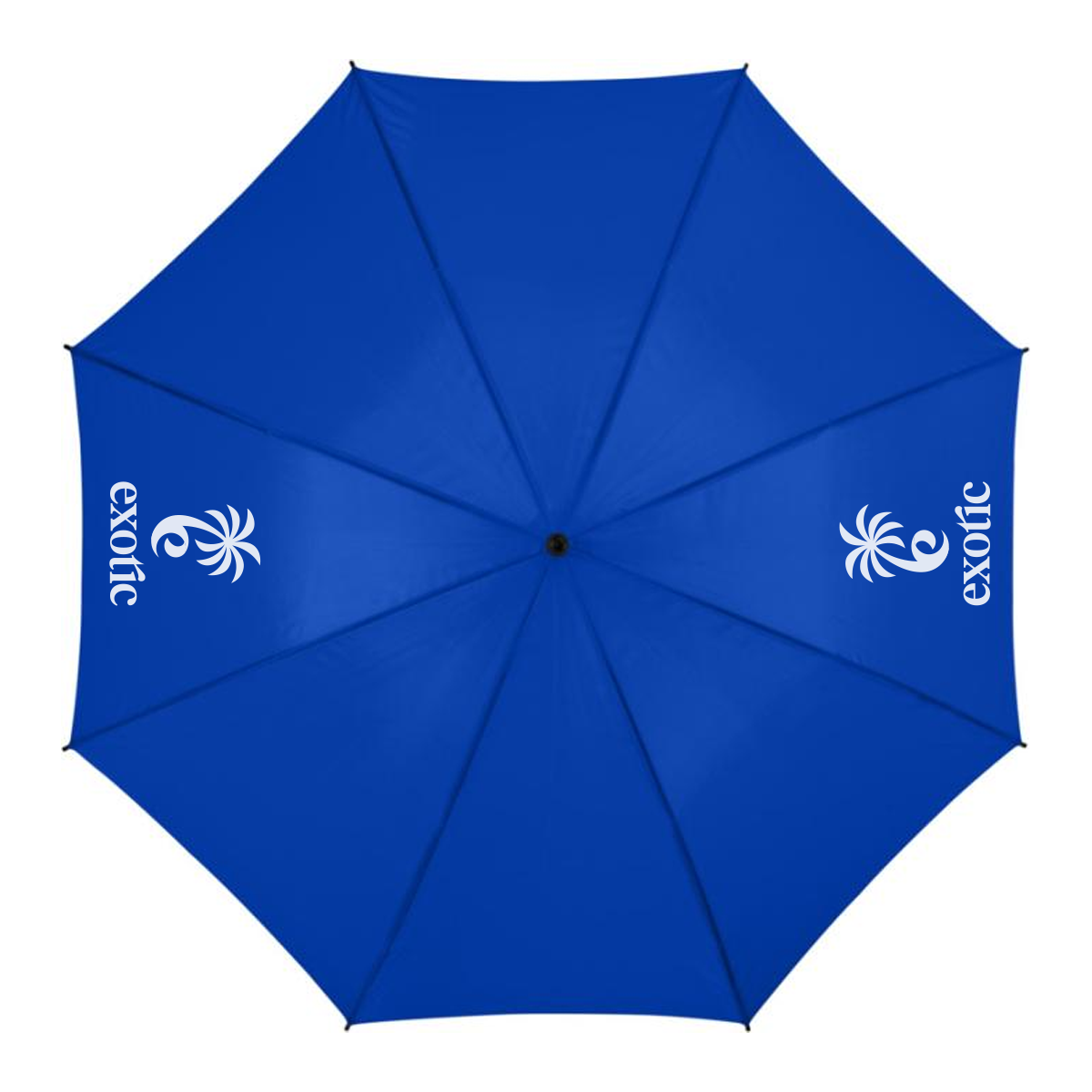 Visual mockup example